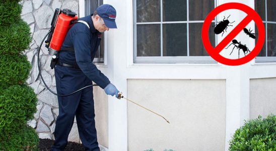 Dodurga Dezenfeksiyon böcek ilaçlama ve haşere kontrolü — ilaclama-tr.com